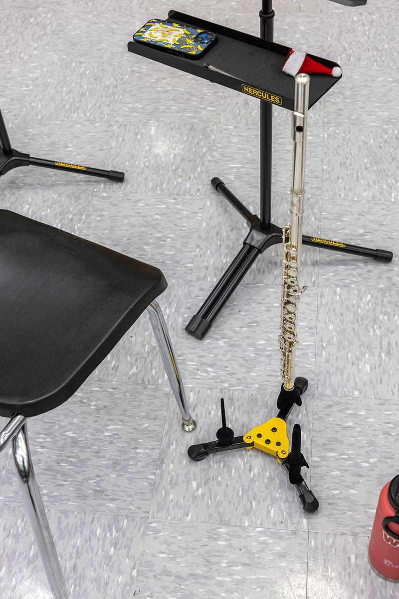 Flute on the DS543BB Combo Stand